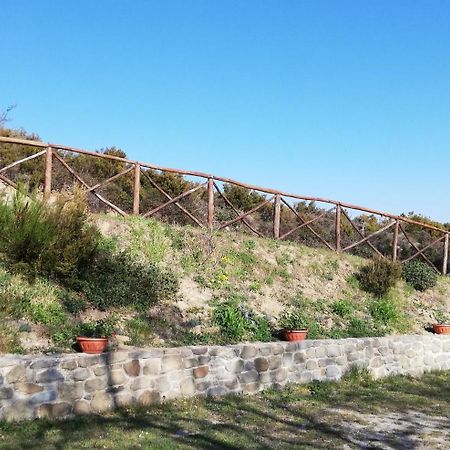 La Casa Gialla Belvedere Cortona Eksteriør bilde